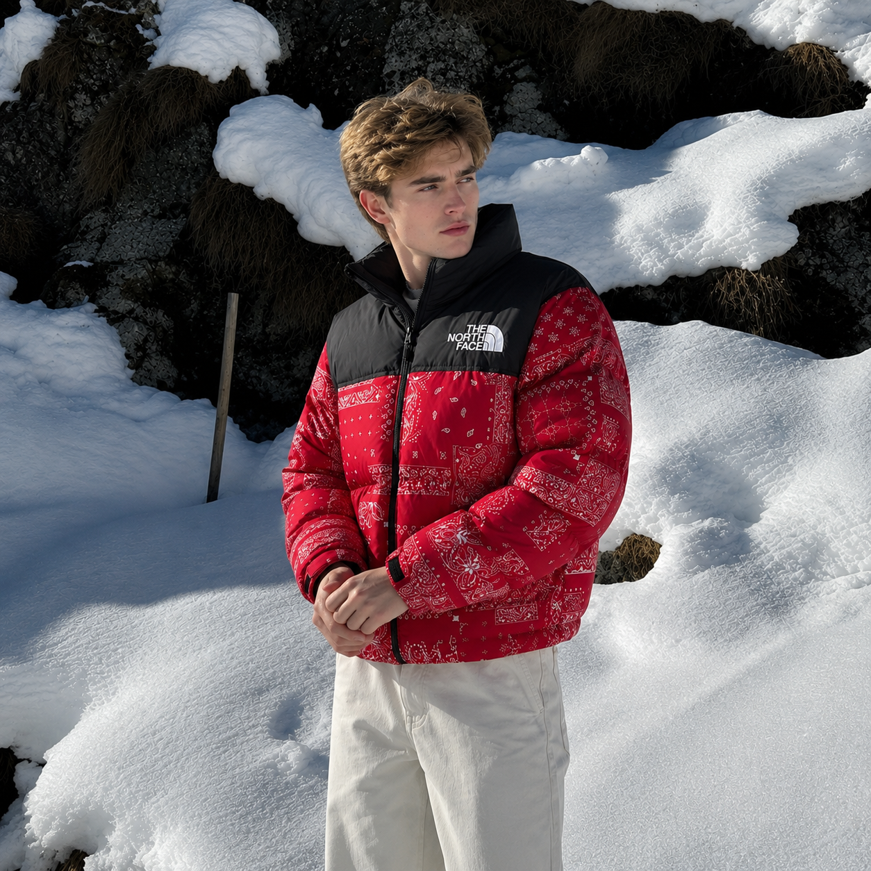 THE NORTH FACE รูปที่ 2