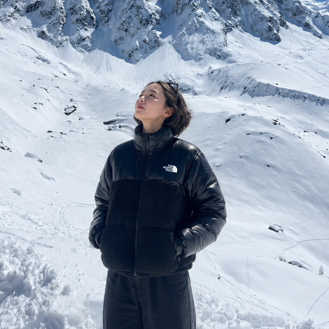 THE NORTH FACE
